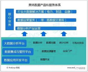 中國城市大數(shù)據(jù)市場專題分析 數(shù)字技術(shù)服務(wù)驅(qū)動下的機遇與挑戰(zhàn)